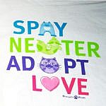 Non Profits